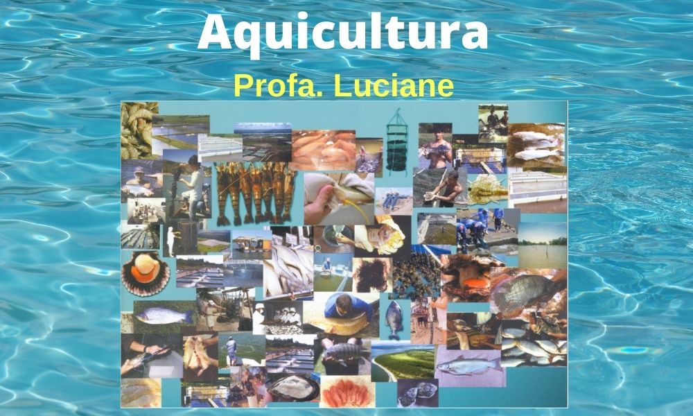 Bacharelado em Agronomia - Urutaí - 20211.01AGR20I.7 - 2021/1 ( 7º período ) - 162836 - Aquicultura