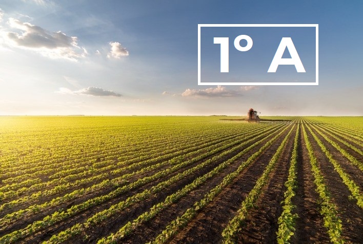 Técnico em Agropecuária Integrado ao Ensino Médio - Matutino - Urutaí - 20211.01AGP10M.1A - 2021/1 ( 1º período ) - 162663 - Filosofia I