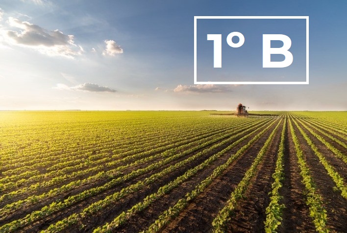 Técnico em Agropecuária Integrado ao Ensino Médio - Matutino - Urutaí - 20211.01AGP10M.1B - 2021/1 ( 1º período ) - 162681 - Filosofia I