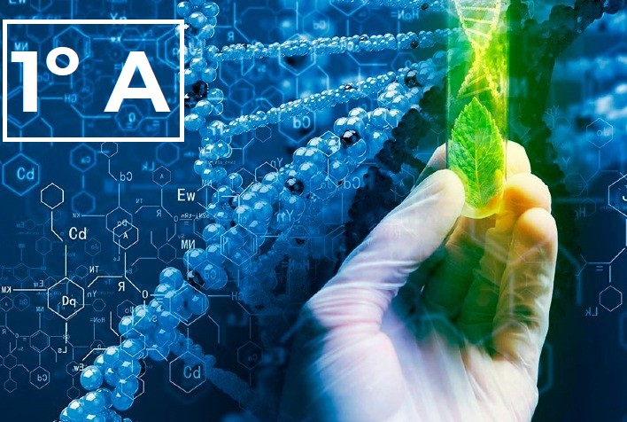 Técnico em Biotecnologia Integrado ao Ensino Médio - Urutaí - 20211.01BTC10M.1A - 2021/1 ( 1º período ) - 162179 - Filosofia I