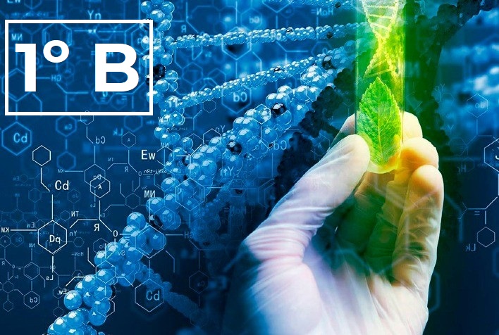 Técnico em Biotecnologia Integrado ao Ensino Médio - Urutaí - 20211.01BTC10M.1B - 2021/1 ( 1º período ) - 162196 - Filosofia I