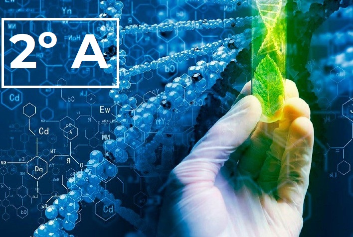 Técnico em Biotecnologia Integrado ao Ensino Médio - Urutaí - 20211.01BTC10M.2 - 2021/1 ( 2º período ) - 162130 - Filisofia II