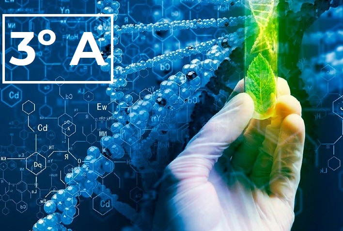 Técnico em Biotecnologia Integrado ao Ensino Médio - Urutaí - 20211.01BTC10M.3A - 2021/1 ( 3º período ) - 162147 - Filosofia III