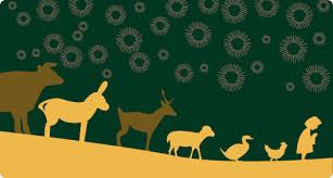 Técnico em Agropecuária Integrado ao Ensino Médio - Posse - 20211.07AGP10M.1B - 2021/1 ( 1º período ) - 165680 - Zootecnia I