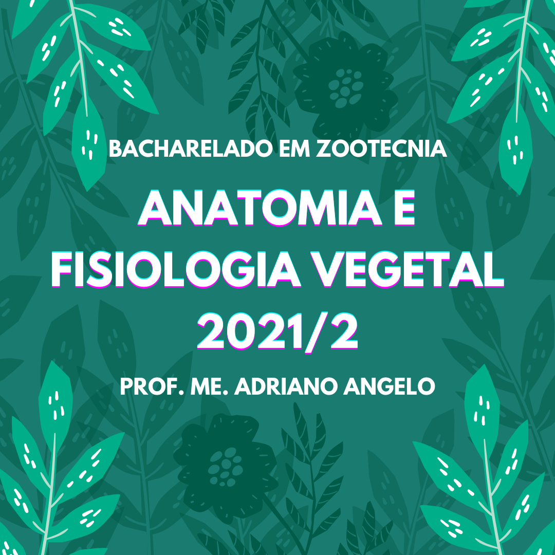 Bacharelado em Zootecnia - Campos Belos 2019-1 - 06ZOO20I420212 - 2021/2 ( 4º período ) - 164853 - Anatomia e Fisiologia Vegetal