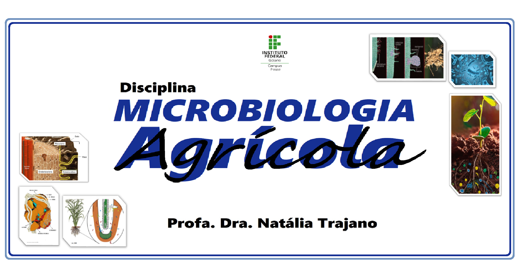 Bacharelado em Agronomia - Posse - 20212.07AGR20I.4 - 2021/2 ( 4º período ) - 170091 - Microbiologia Agrícola