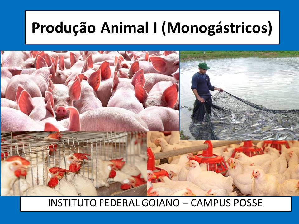Bacharelado em Agronomia - Posse - 20212.07AGR20I.6 - 2021/2 ( 6º período ) - 170097 - Produção Animal I (monogástricos)