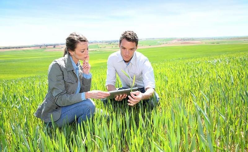 Bacharelado em Agronomia - Posse - 20212.07AGR20I.8 - 2021/2 ( 8º período ) - 170100 - Avaliação e Perícia Rural