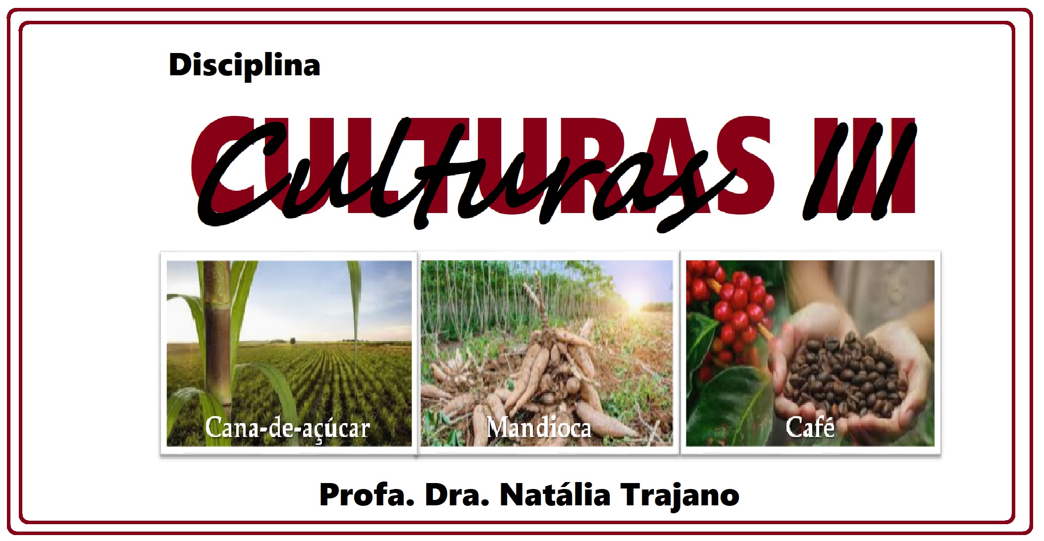 Bacharelado em Agronomia - Posse - 20212.07AGR20I.8 - 2021/2 ( 8º período ) - 170101 - Culturas III (café, Cana-de-açúcar e Mandioca)