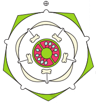 Licenciatura em Ciências Biológicas - Posse - 20212.07BIO22N.4N - 2021/2 ( 4º período ) - 170073 - Botânica II