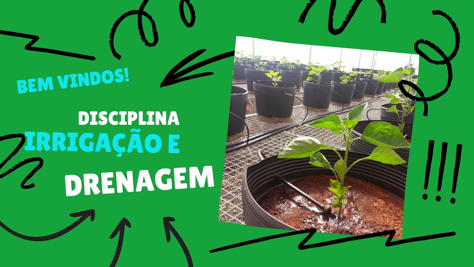 Bacharelado em Agronomia - Ceres - 20212.03AGR20I.6G - 2021/2 ( 6º período ) - 168289 - Irrigação e Drenagem