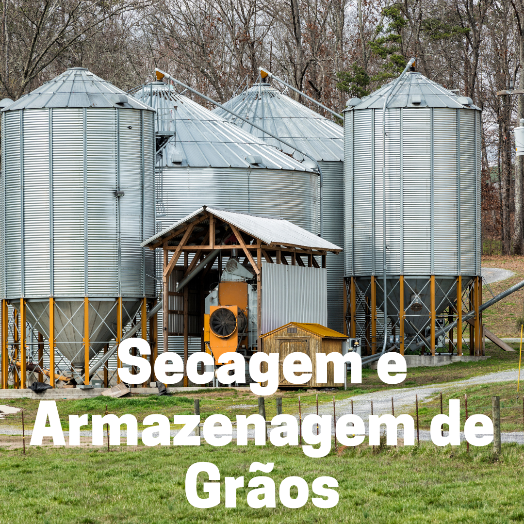 Bacharelado em Agronomia - Ceres - 20212.03AGR20I.8G - 2021/2 ( 8º período ) - 168298 - Secagem e Armazenamento de Grãos