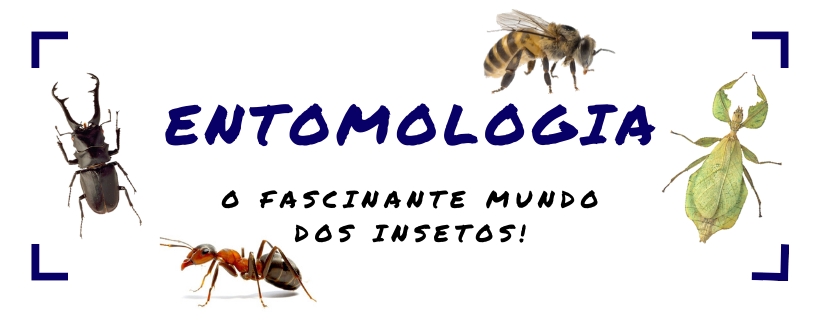 Licenciatura em Ciências Biológicas - Ceres - 20212.03BIO22N.8NG - 2021/2 ( 8º período ) - 168332 - Entomologia Geral