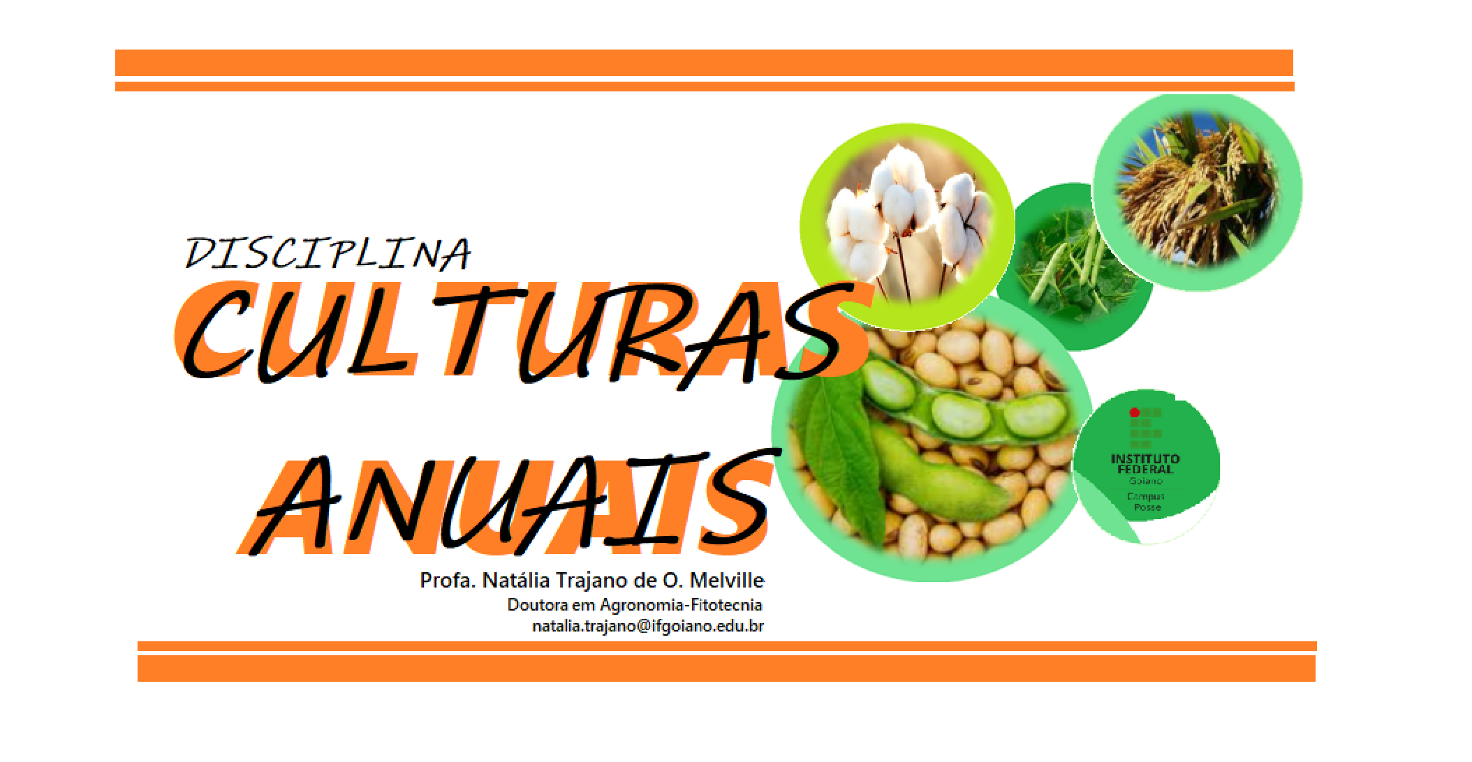 Técnico em Agropecuária - Posse - 20212.07AGP11M.2M - 2021/2 ( 2º período ) - 168715 - Culturas Anuais