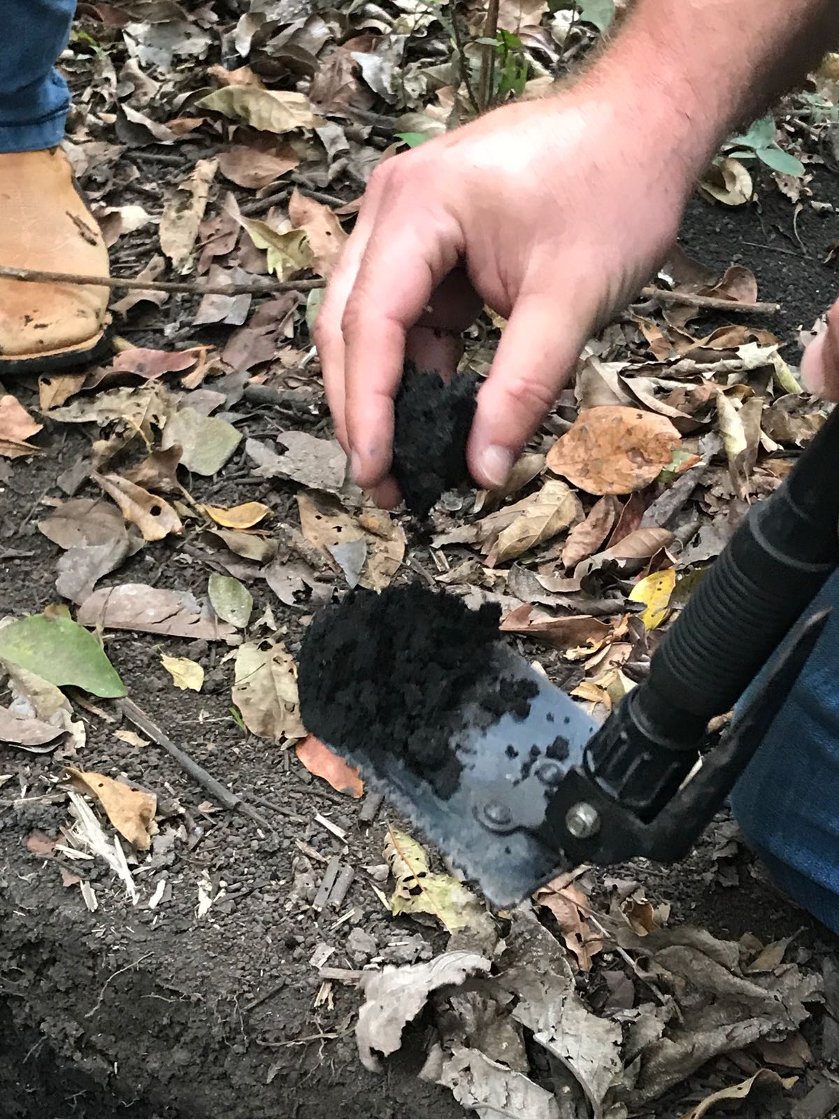 Descrevendo um perfil de solo