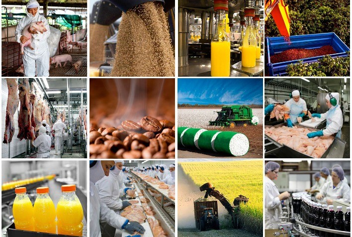 Bacharelado em Ciência e Tecnologia de Alimentos - Urutaí - 20212.01CTA20I.6V - 2021/2 ( 6º período ) - 168115 - Projetos Agroindustriais