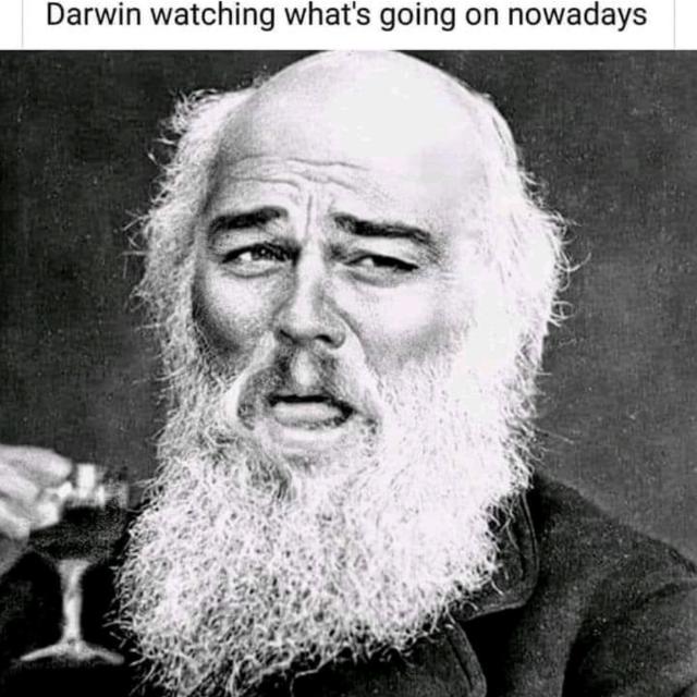 ATIVO 2021 - 3 - Ciências Biológicas - 4º período - Evolução