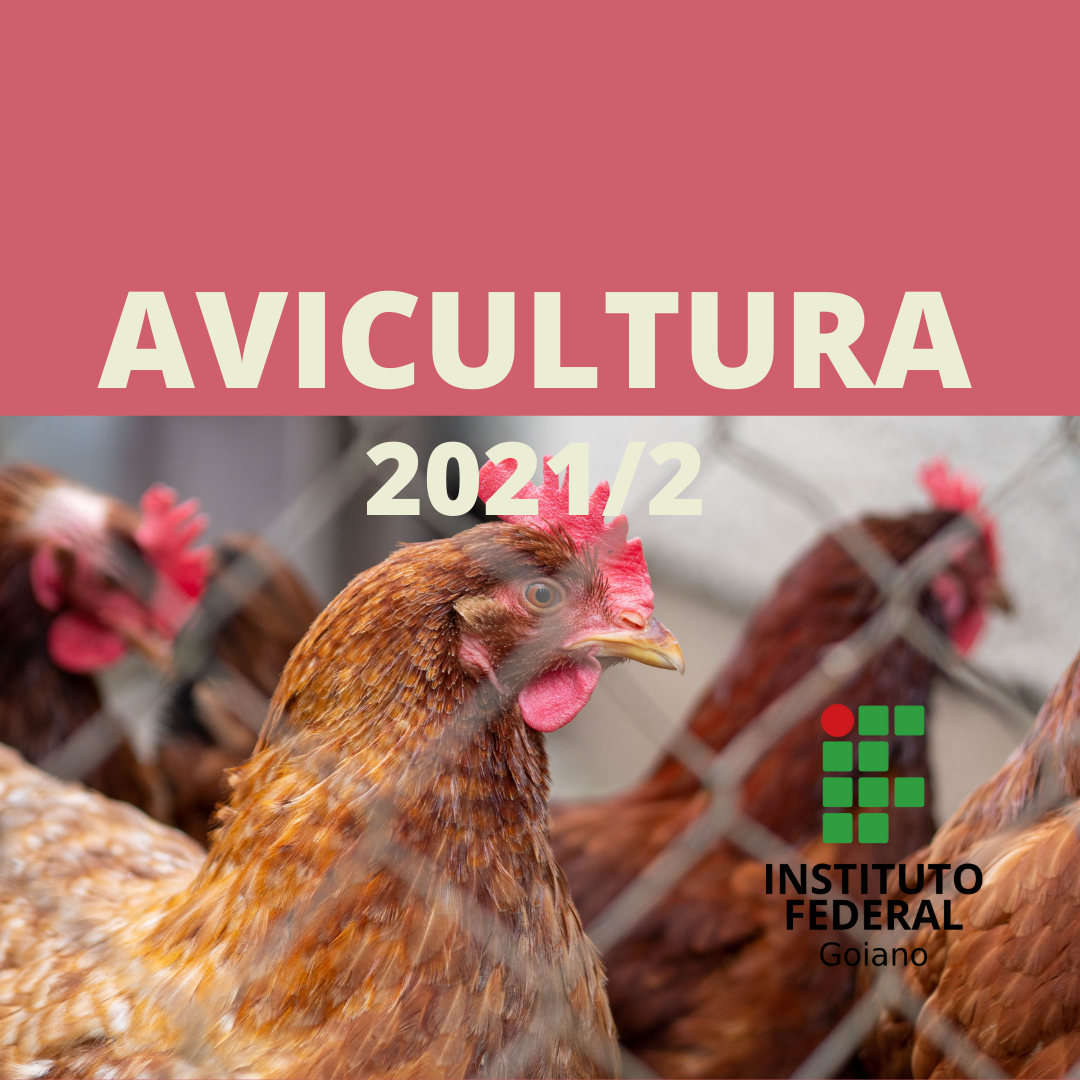 Técnico em Agropecuária Vespertino - Urutaí - 20212.01AGP11V.2V - 2021/2 ( 2º período ) - 170490 - Avicultura - Técnico Urutaí