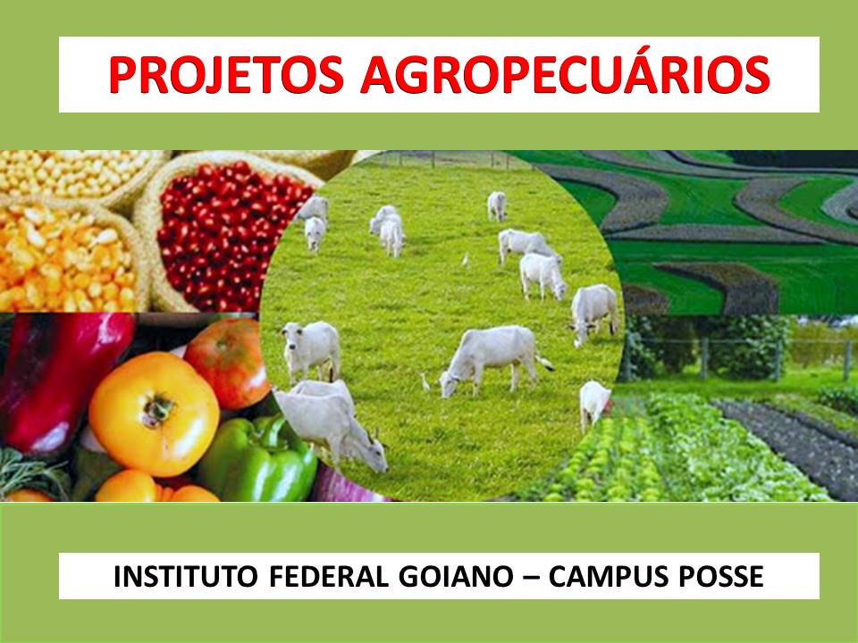 Técnico em Agropecuária - Posse - 20212.07AGP11M.3M - 2021/2 ( 3º período ) - 173230 - Projetos Agropecuarios