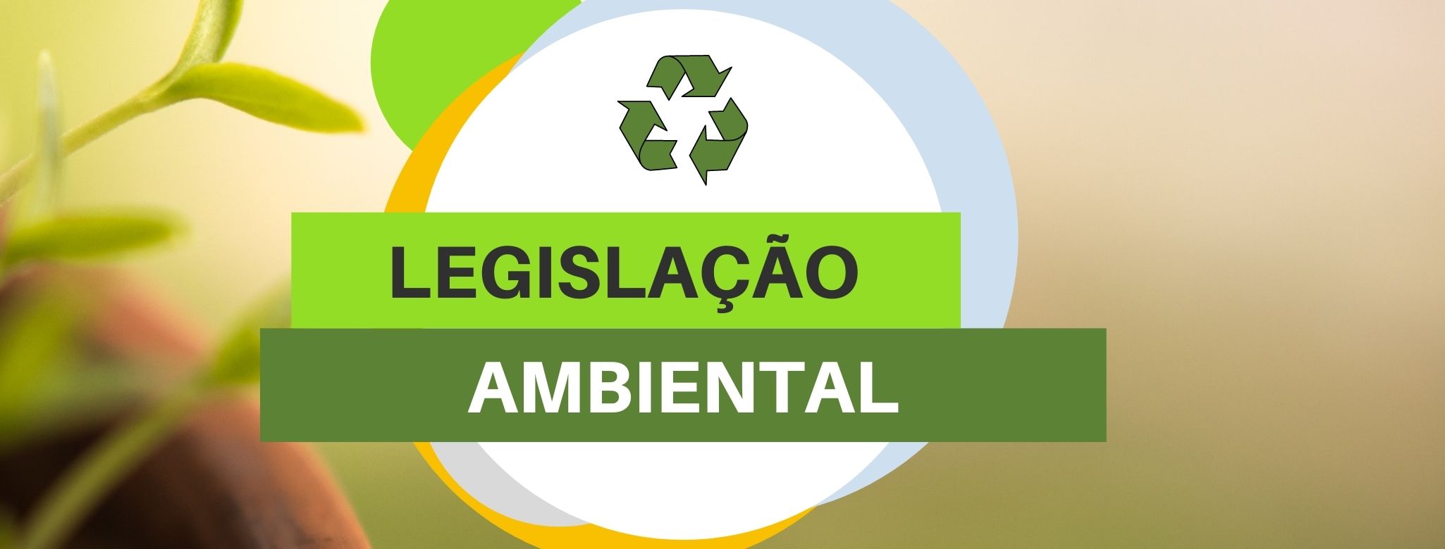 000536 - Gestão e legislação ambiental - 2021/2:Especialização em Agropecuária Sustentável, Especialização, 1º Período, Turno Integral (2021)