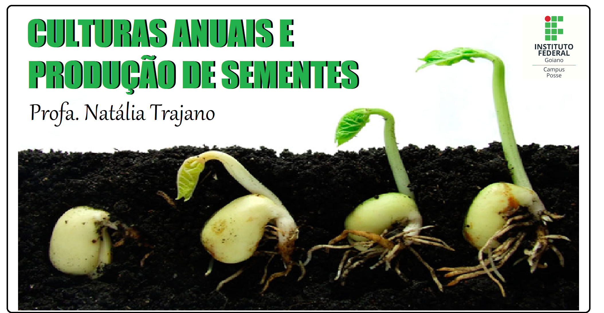 000543 - Culturas anuais e produção de sementes - 2021/2:Especialização em Agropecuária Sustentável, Especialização, 1º Período, Turno Integral (2021)