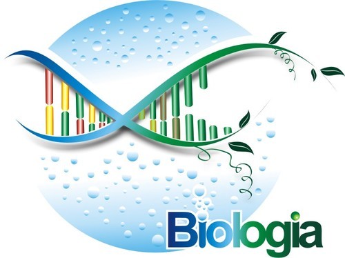 Trindade - Técnico Integrado - Automação Industrial - 20211.08AUT10I.3 - 2021/1 ( 3º período ) - 157976 - Biologia 3