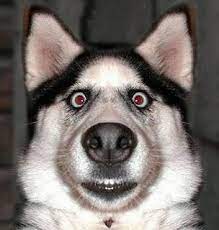 000941 - Inglês Instrumental - 2022/1:Tecnologia em Gestão Comercial, Tecnologia, 2º Período, Turno Noturno (2022)