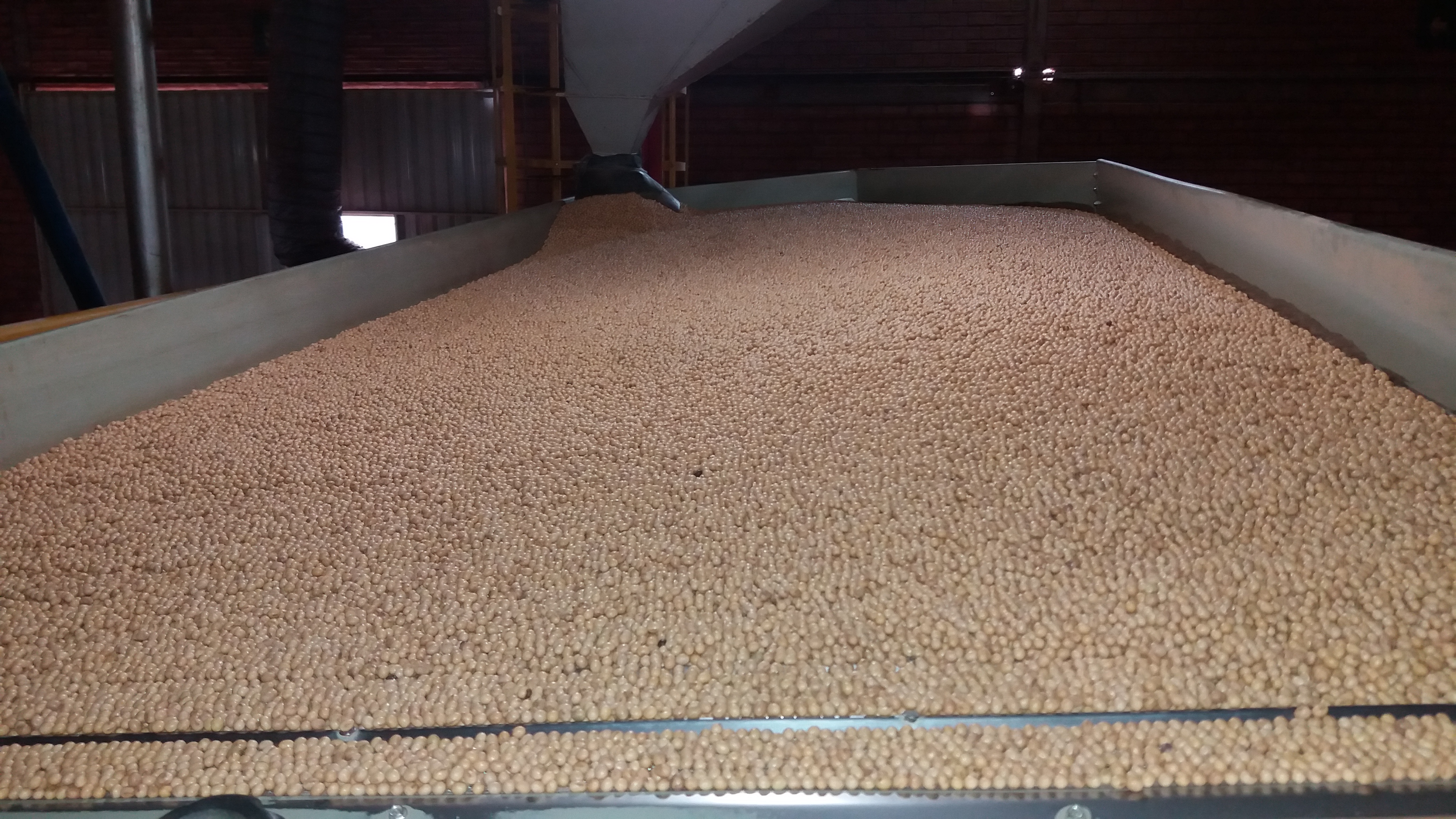 001527 - Produção e Tecnologia de Sementes - 2022/1:Bacharelado em Agronomia, Bacharelado, 5º Período, Turno Integral (2022)