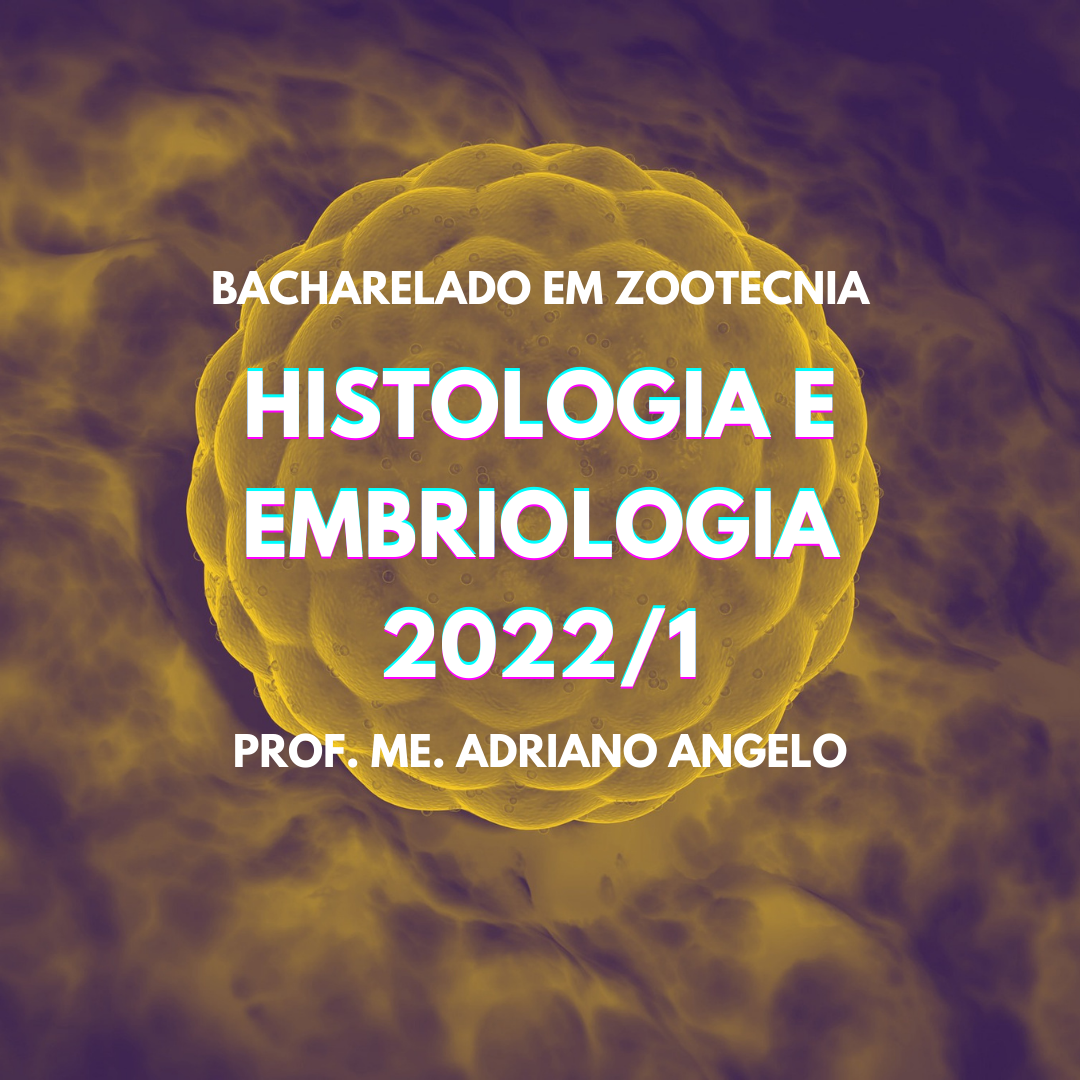 Bacharelado em Zootecnia - Campos Belos - 06ZOO20I220221 - 2022/1 ( 2º período ) - 175336 - Histologia e Embriologia