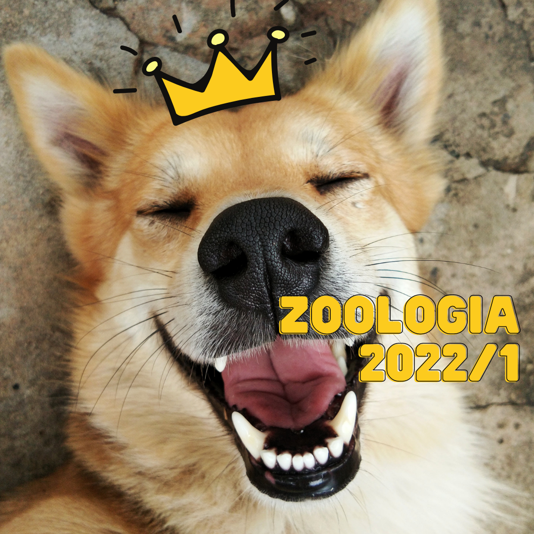 Bacharelado em Zootecnia - Campos Belos - 06ZOO20I220221 - 2022/1 ( 2º período ) - 175339 - Zoologia