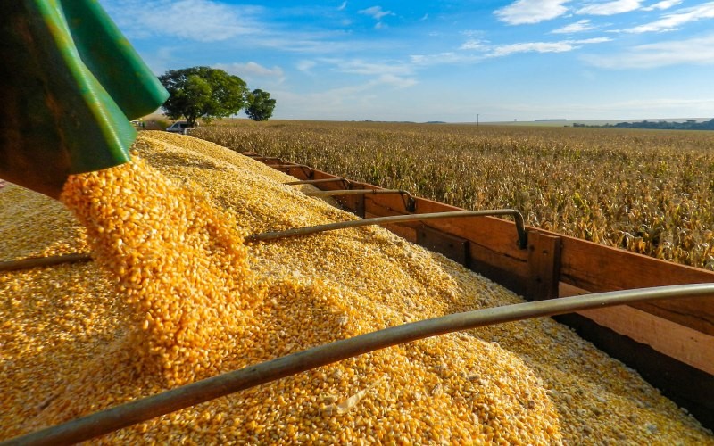 001299 - Agricultura Geral - 2022/1:Técnico em Agropecuária Integrado ao Ensino Médio, Integrado, 1º Período, Turno Matutino (2022)