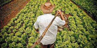 001635 - Sociologia e Extensão Rural - 2022/1:Tecnologia em Horticultura, Tecnologia, 5º Período, Turno Integral (2022)