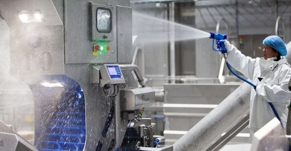 Bacharelado em Nutrição -  Urutai 2020/1 - 20221.01NUT20I.3 - 2022/1 ( 3º período ) - 179064 - Controle Higiênico Sanitário e Legislação e Alimentos