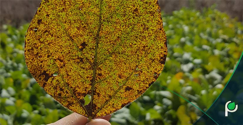 001612 - Fitopatologia -i - 2022/1:Bacharelado em Agronomia, Bacharelado, 5º Período, Turno Integral (2022)