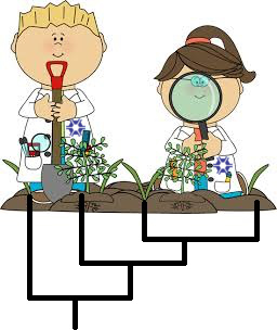 Bacharelado em Agronomia - Posse - 20211.07AGR20I.3 - 2021/1 ( 3º período ) - 161103 - Sistemática e Organografia Vegetal