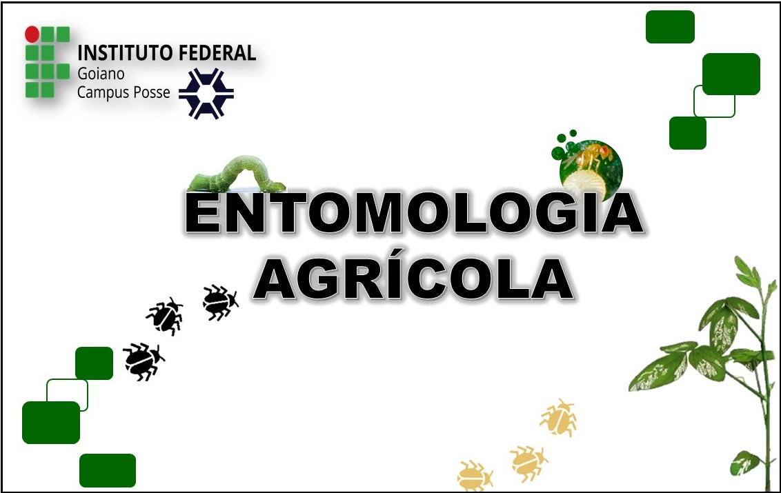 Bacharelado em Agronomia - Posse - 20211.07AGR20I.5 - 2021/1 ( 5º período ) - 161081 - Entomologia Agrícola