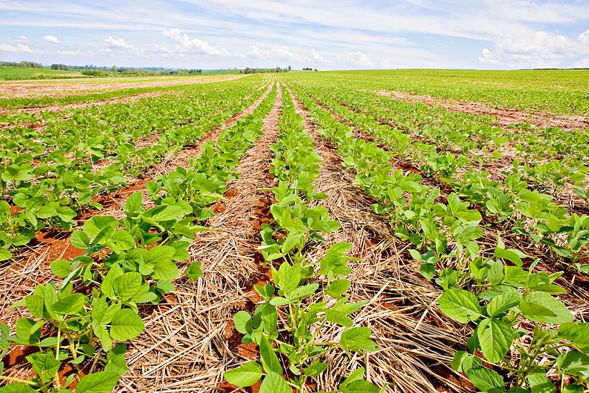 Bacharelado em Agronomia - Posse - 20211.07AGR20I.5 - 2021/1 ( 5º período ) - 161084 - Manejo e Conservação do Solo e Água