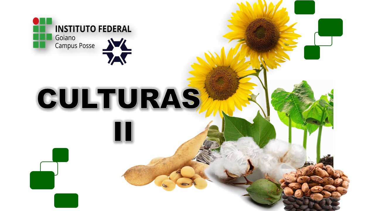 Bacharelado em Agronomia - Posse - 20211.07AGR20I.7 - 2021/1 ( 7º período ) - 161105 - Culturas II (soja, Feijão, Girassol e Algodão)