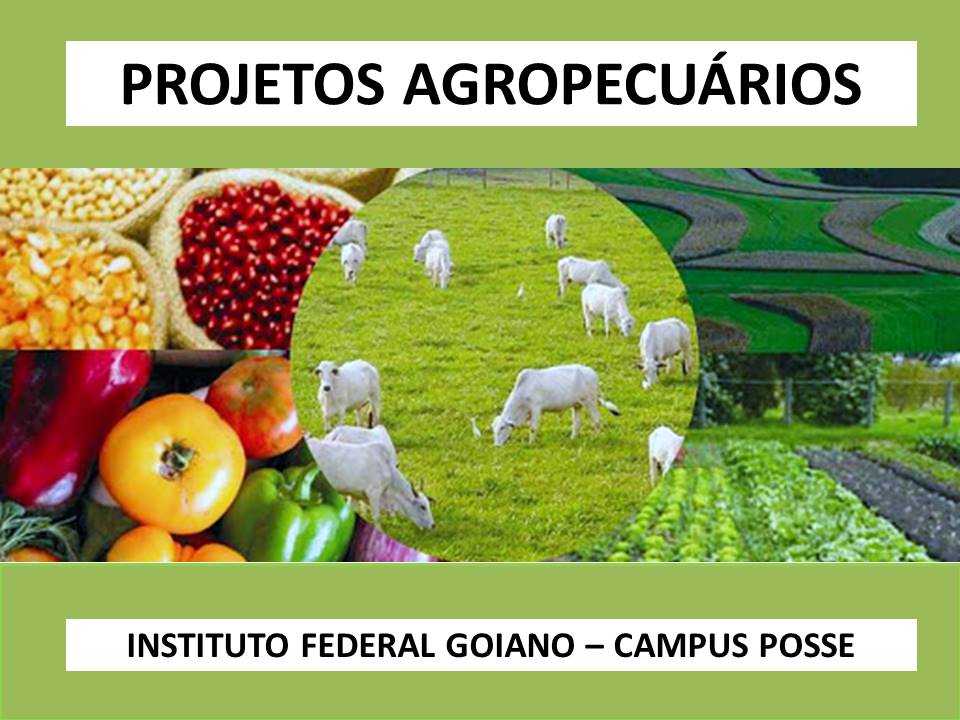 Técnico em Agropecuária Integrado ao Ensino Médio - Posse - 20211.07AGP10M.3 - 2021/1 ( 3º período ) - 161001 - Projetos Agropecuários