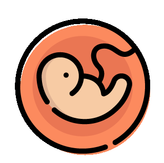 001952 - Embriologia e Histologia - 2022/1:Licenciatura em Ciências Biológicas, Licenciatura, 3º Período, Turno Noturno (2022)