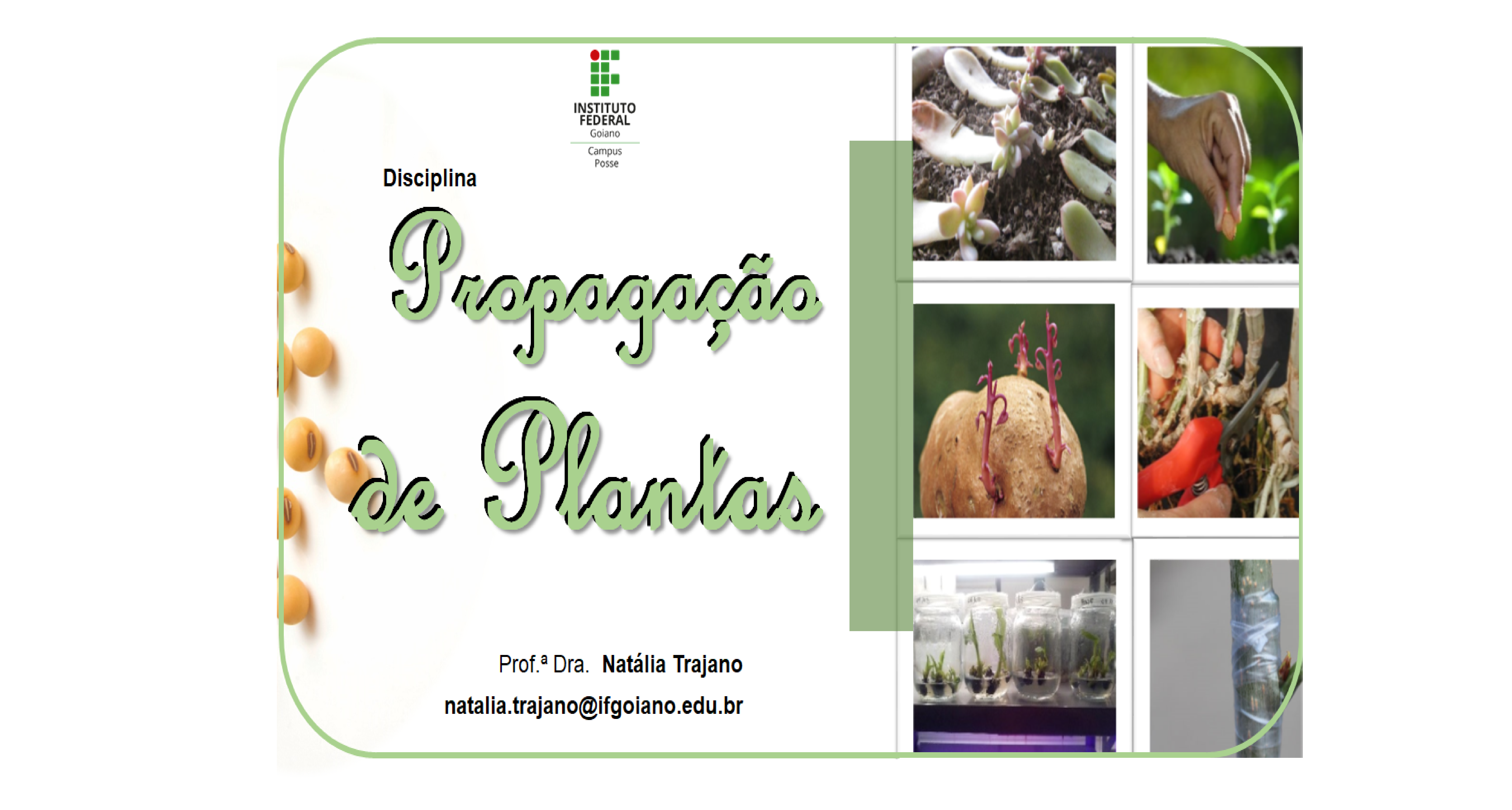 002019 - Propagação de Plantas - 2022/1:Técnico em Agropecuária, Técnico Concomitante, 1º Período, Turno Matutino (2022)