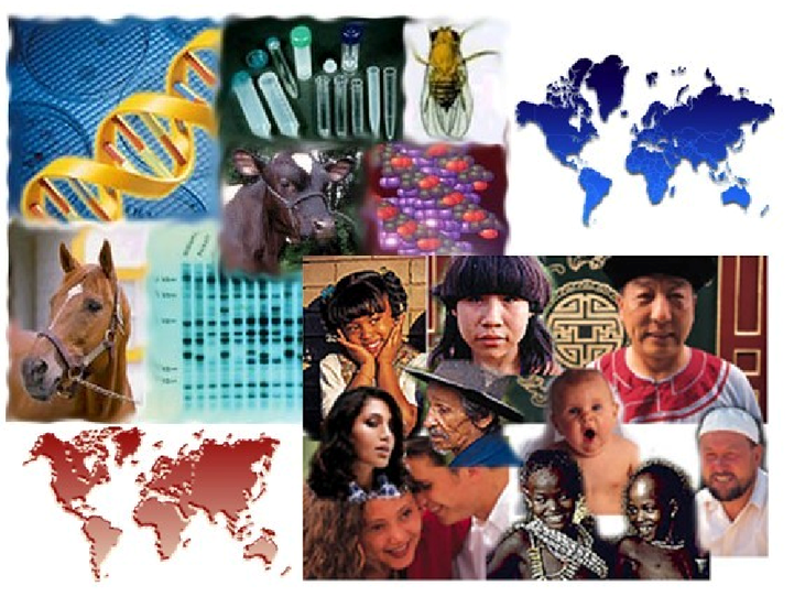 Bacharelado em Ciências Biológicas - Rio Verde - 20221.02BIO23I.3MV - 2022/1 ( 3º período ) - 182341 - Genética II