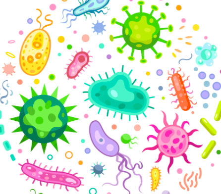 Técnico em Biotecnologia Integrado ao Ensino Médio - Urutaí - 20221.01BTC10M.3A - 2022/1 ( 3º período ) - 180714 - Microbiologia e Genética Microbiana