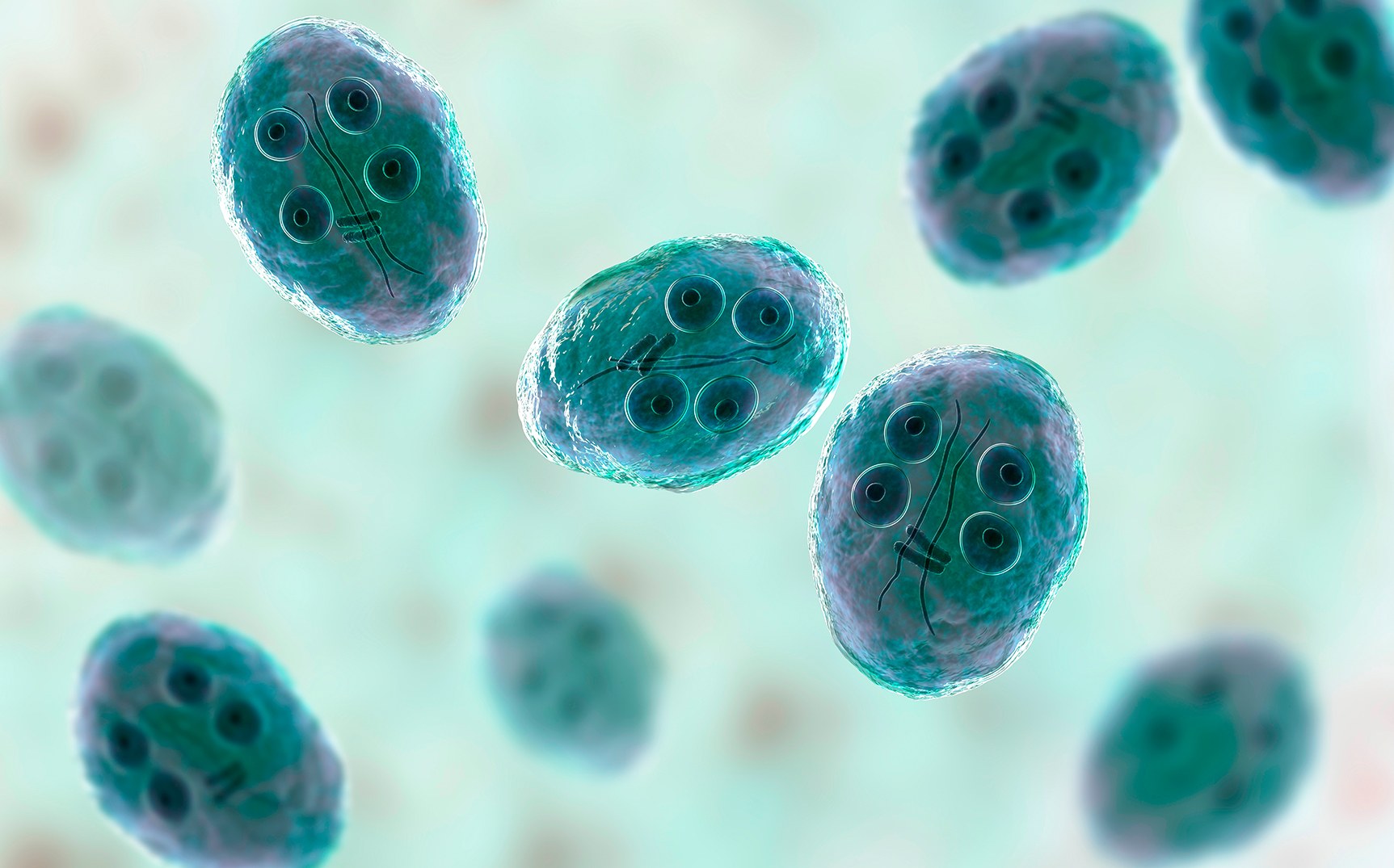 Bacharelado em Ciências Biológicas - Rio Verde - 20221.02BIO23I.5MV - 2022/1 ( 5º período ) - 182348 - Parasitologia