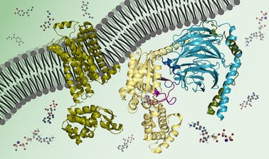 Bacharelado em Engenharia Química - Rio Verde 2020 - 20221.02ENQ20I.5MV - 2022/1 ( 5º período ) - 182497 - Bioquímica