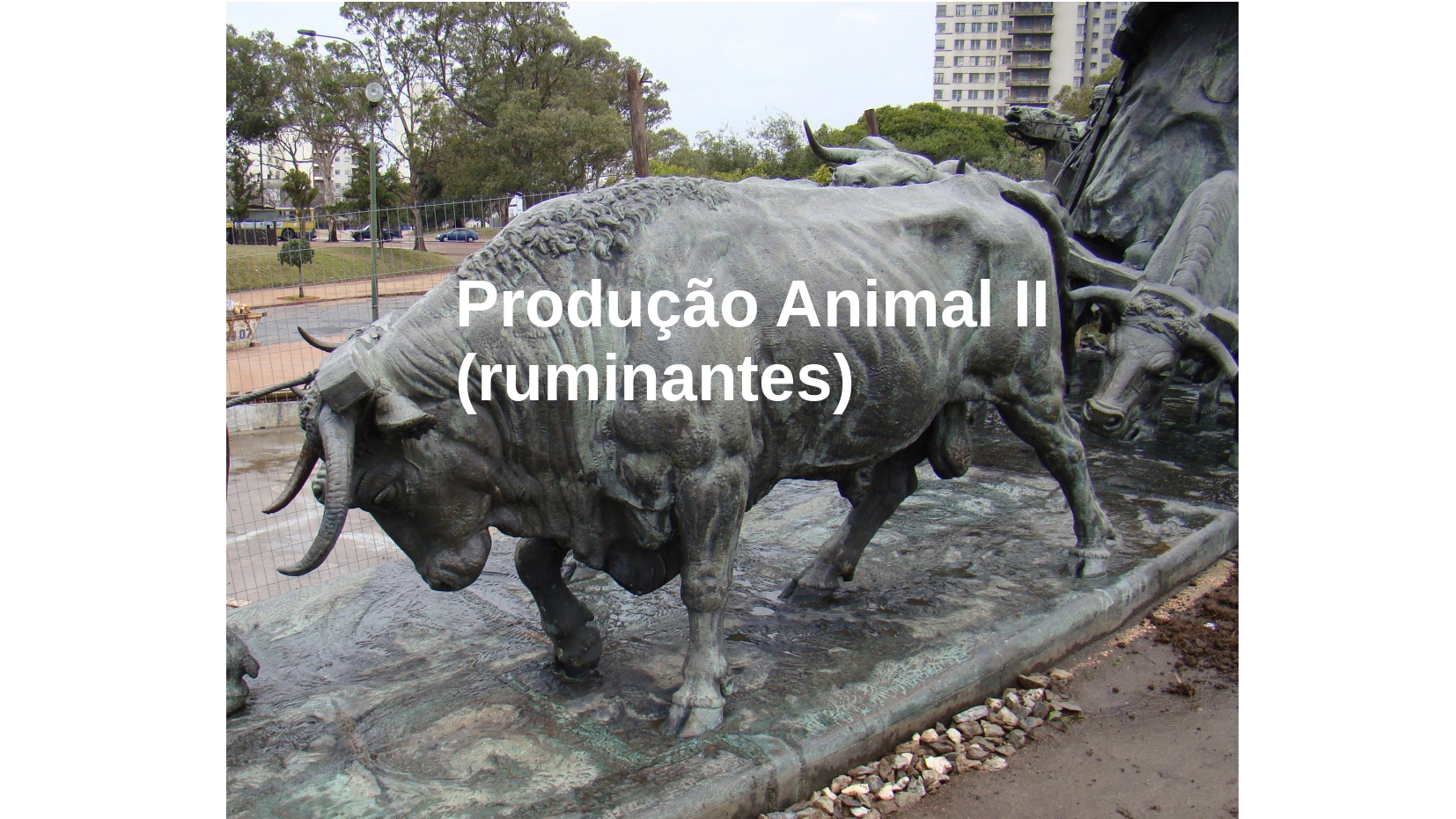 001980 - Produção Animal II (ruminantes) - 2022/1:Bacharelado em Agronomia, Bacharelado, 7º Período, Turno Integral (2022)