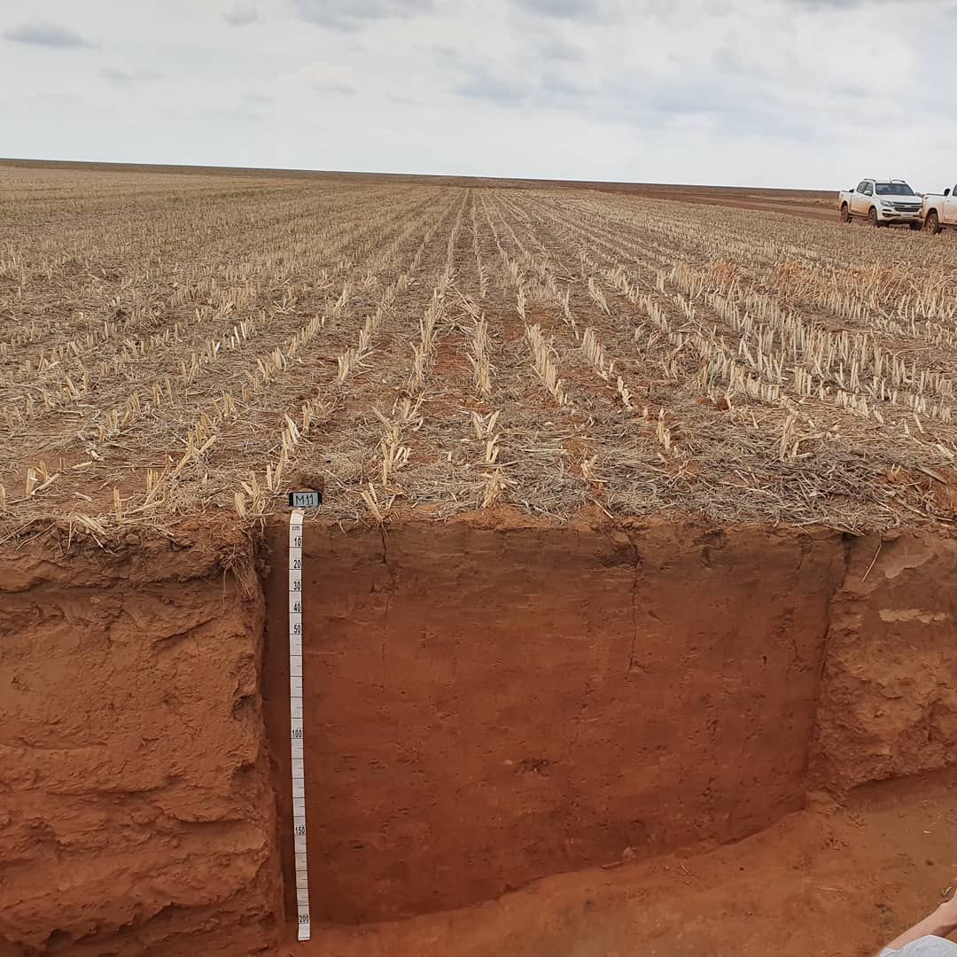 002361 - Gênese e Morfologia do Solo - 2022/2:Bacharelado em Agronomia, Bacharelado, 2º Período, Turno Integral (2022)