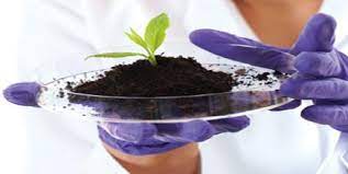 002573 - Bioquímica Agrícola - 2022/2:Tecnologia em Horticultura, Tecnologia, 2º Período, Turno Noturno (2022)