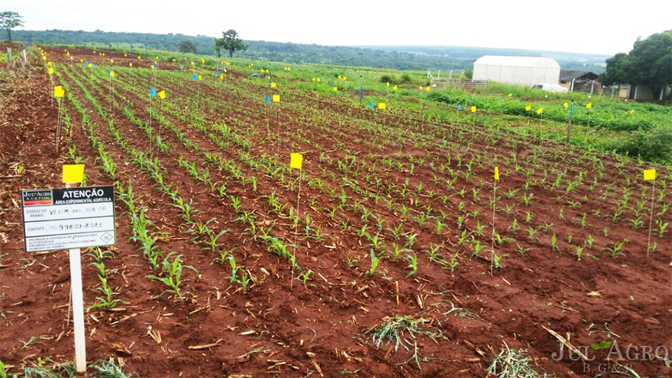 002575 - Estatística Experimental - 2022/2:Tecnologia em Horticultura, Tecnologia, 2º Período, Turno Noturno (2022)