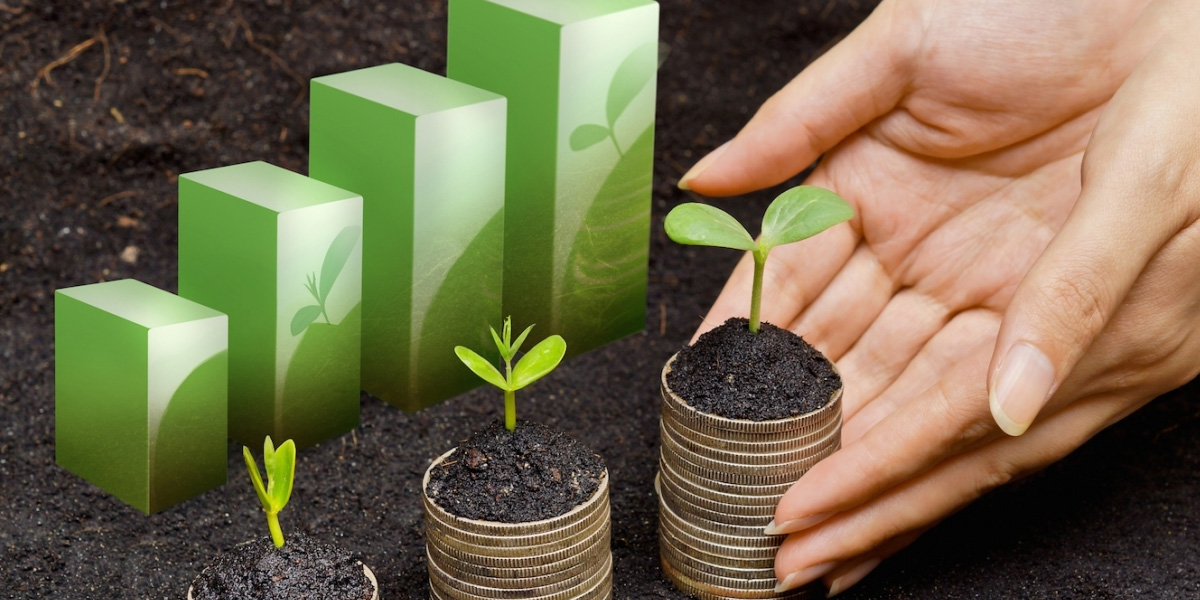 002585 - Planejamento Econômico em Agronegócio - 2022/2:Tecnologia em Horticultura, Tecnologia, 4º Período, Turno Noturno (2022)